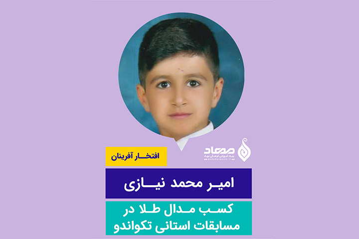 امیر محمد نیازی، مدال طلا در مسابقات استانی تکواندو