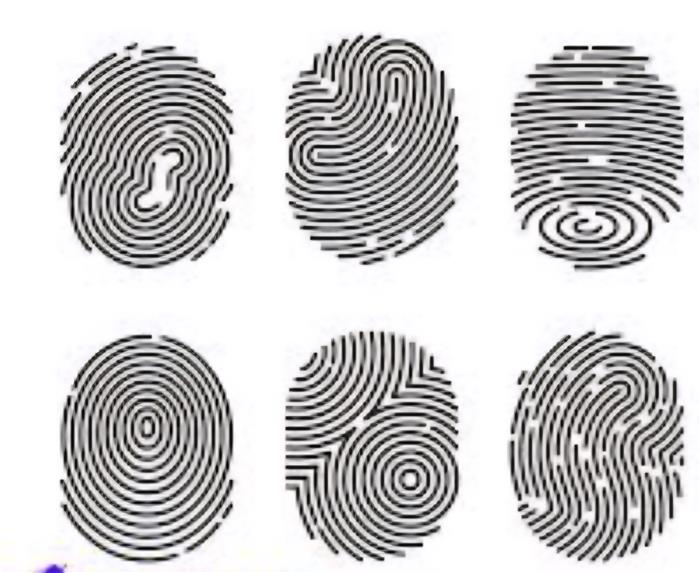 هر فرد منحصر به فرد و با ارزش است.