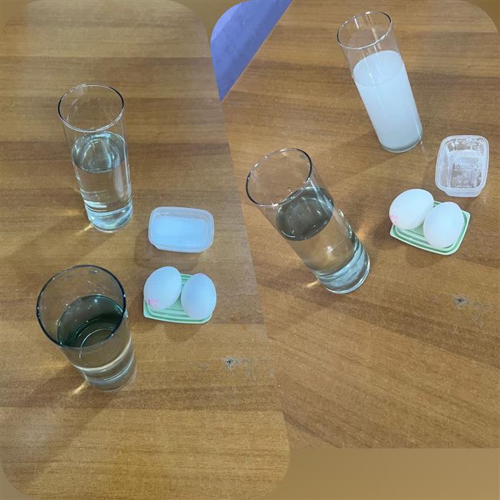 لذت علوم ( آزمایش تخم مرغ شناور) شما را به دیدن انجام این آزمایش توسط دانشمندان کوچکم و هیجان و پاسخ‌های زیبایشان دعوت می‌کنم)