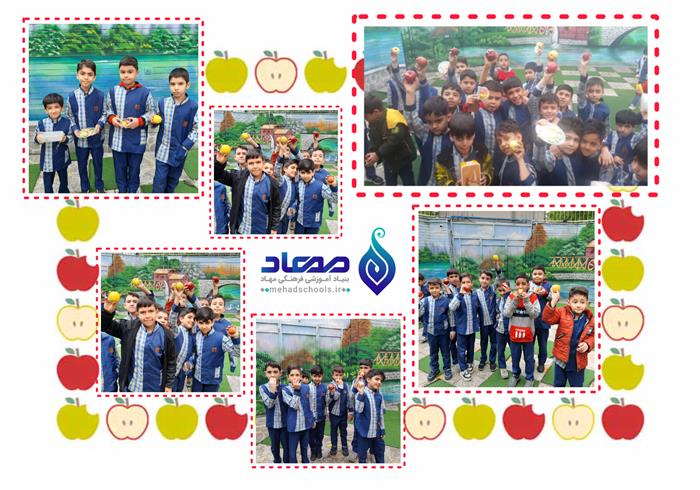 جشنواره سیب سلامت

در کنار دانش آموزان مهاد
پروین
