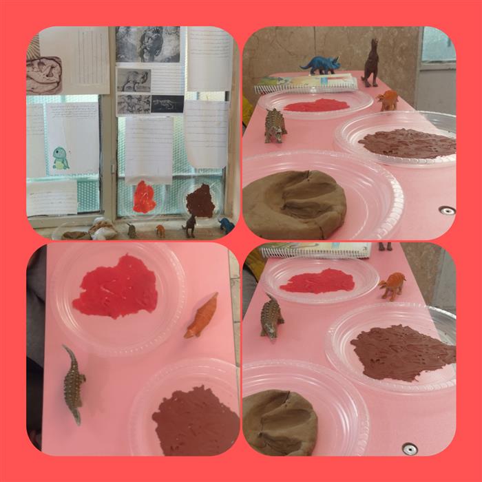 زنگ علوم  برگی از تاریخ زمین فسیل ها. تحقیقات و پژوهش