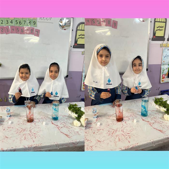 لذت علوم آزمایش برگ رنگین کمانی