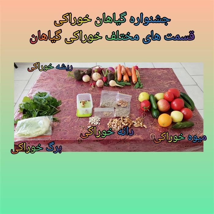 جشنواره گیاهان خوراکی