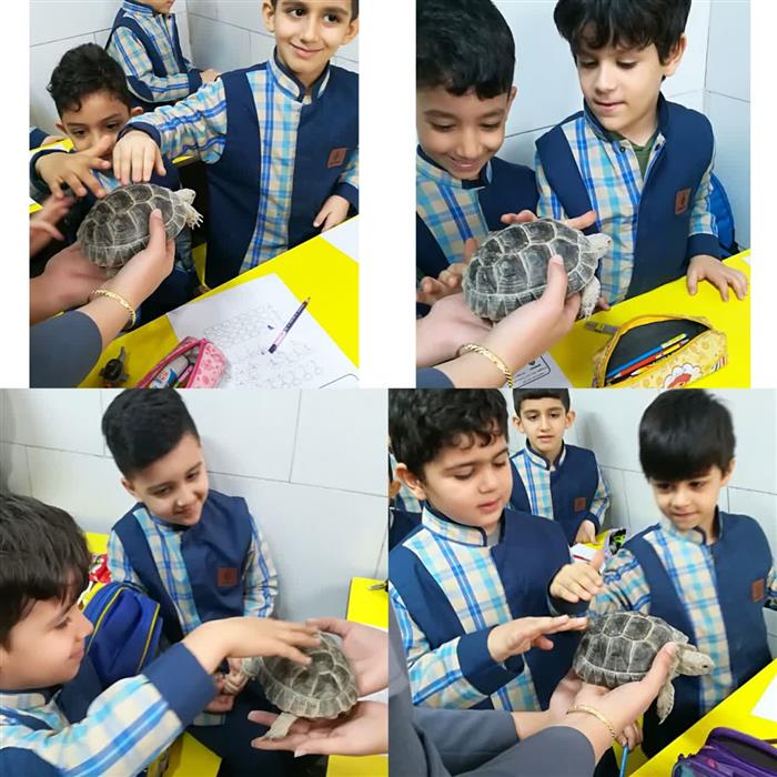 ایجاد انگیزه هم آغاز صدای (ل)
🐢 ل مثل لاک پشت 🐢