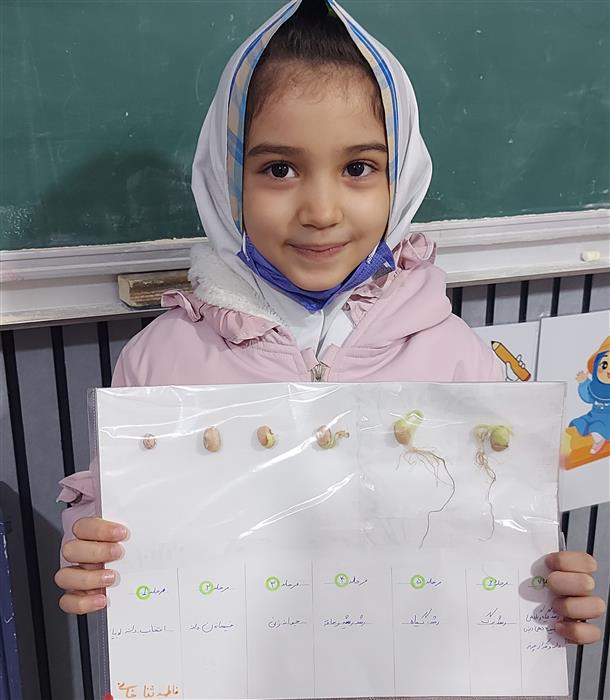 فعالیت علوم ، کاشت لوبیا